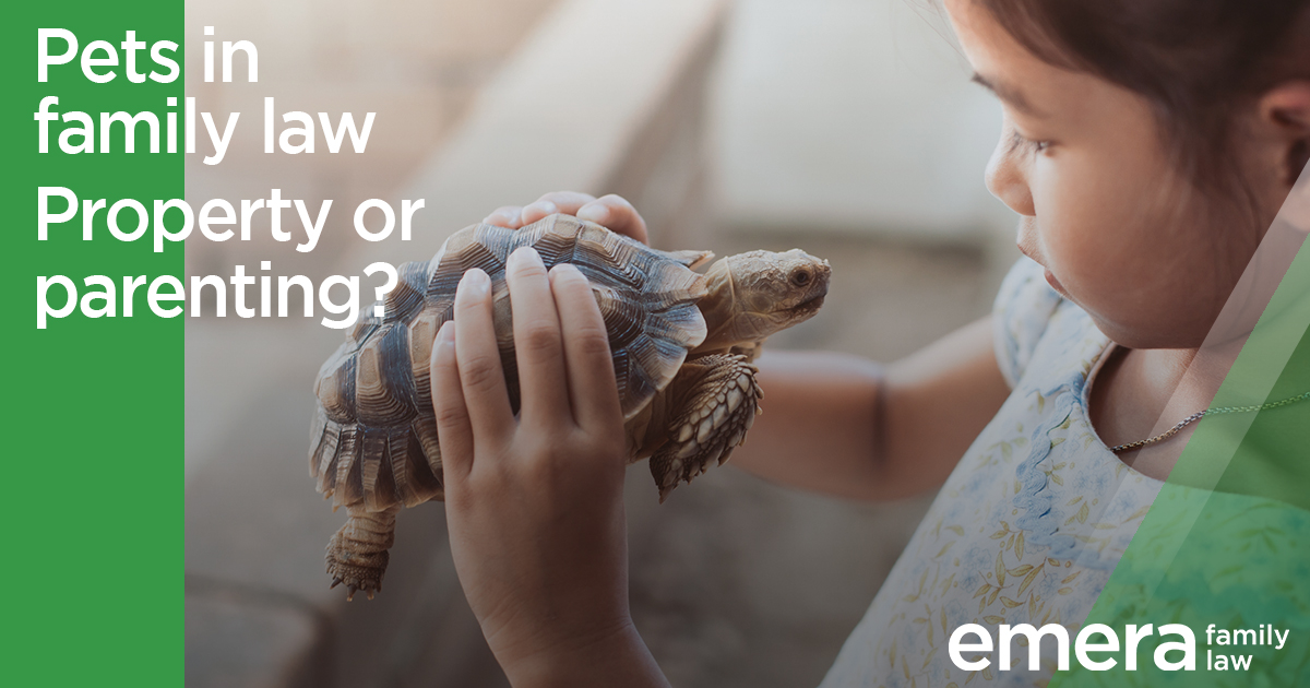 Pets and Family Law Disputes? Emera Family Law