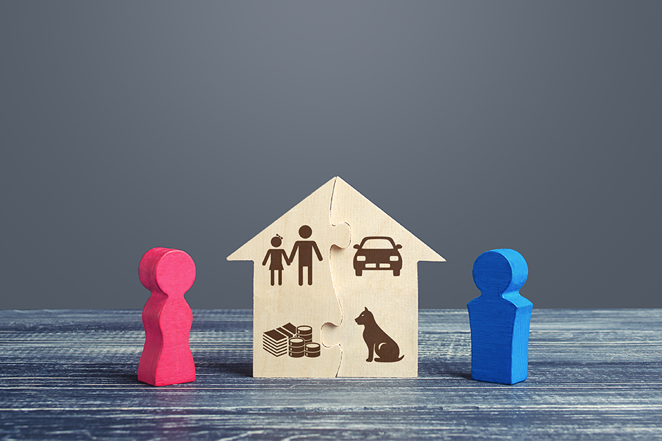 Family Court Hearings - the Priority Property Pool (PPP) List  