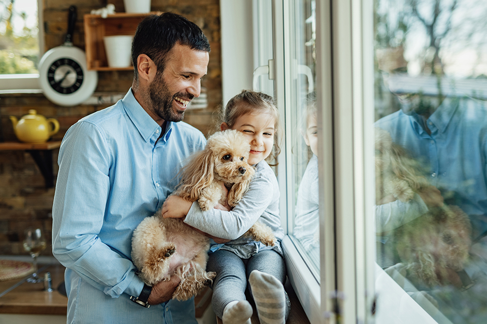 Family law reforms: companion animals and property settlement